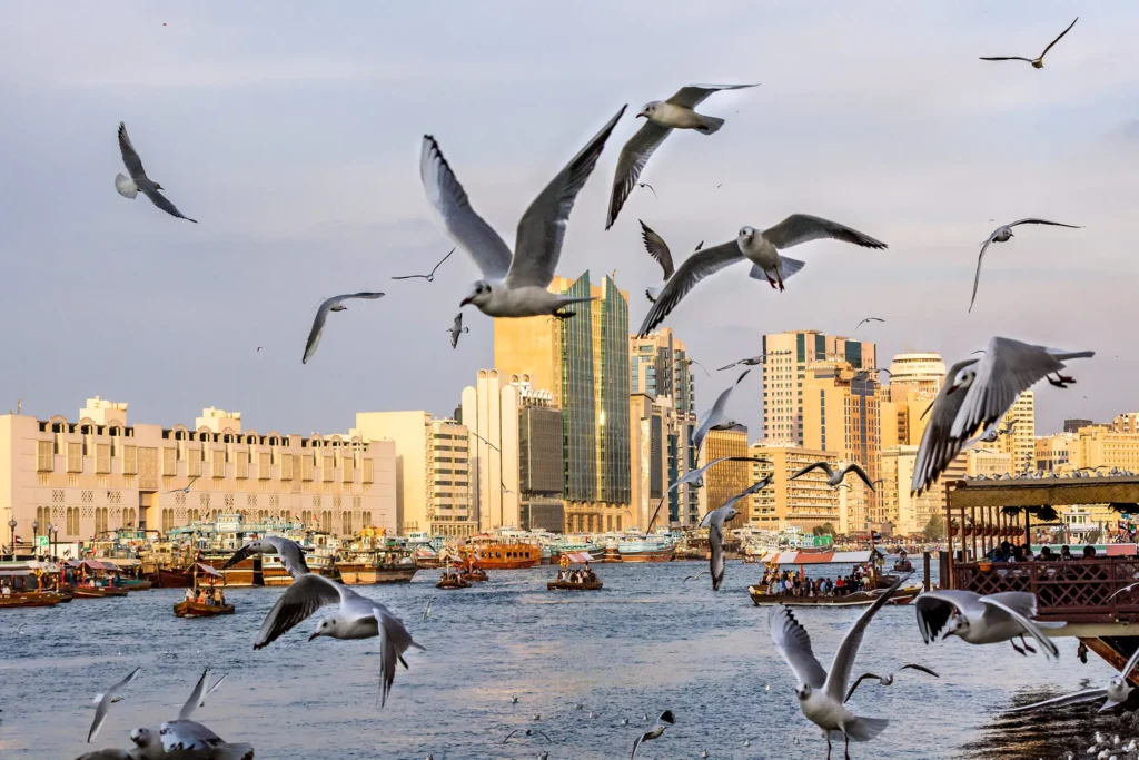 Quartier Deira à Dubaï
