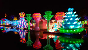 Dubaï Garden Glow